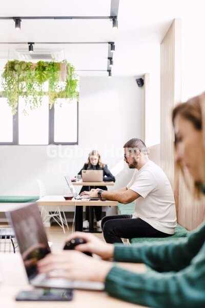 Piata Victoriei Vila individuala reconsolidata 2005  Bloc Boutique  Centrala